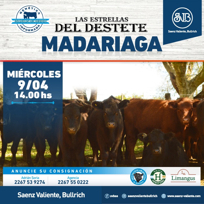 Imagen de Las Estrellas del Destete